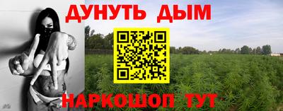 ГАЛЛЮЦИНОГЕННЫЕ ГРИБЫ Ипатово
