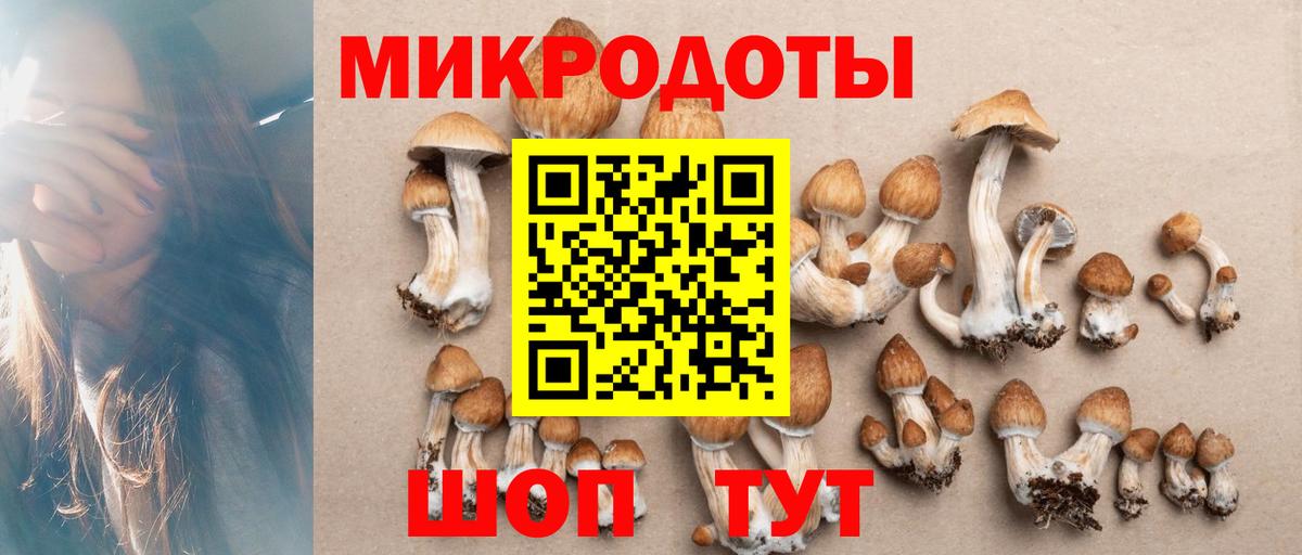 Галлюциногенные грибы прущие грибы  Вход с VPN  Майкоп  Псилоцибиновые грибы MAGIC MUSHROOMS 